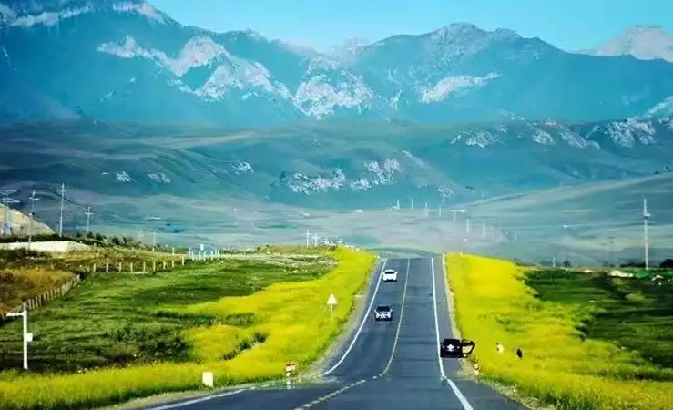 593817ae674827a695646ccf60be212a-sz_213435