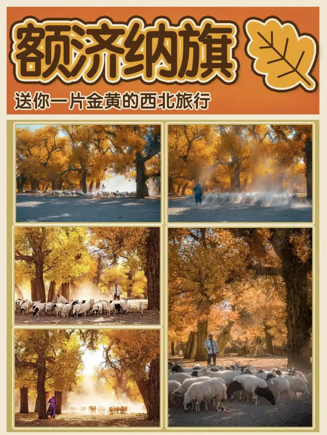 5d6c7fb92444ccacd32fa60ce814e357-sz_369230