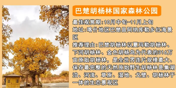 5da0fa63b8fb3ed0781052602d322e78-sz_473068 5da0fa63b8fb3ed0781052602d322e78-sz_473068