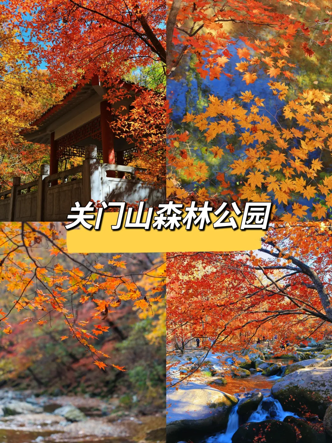 5f6f6173e6d24fa90503b8d074490ad1-sz_1509786