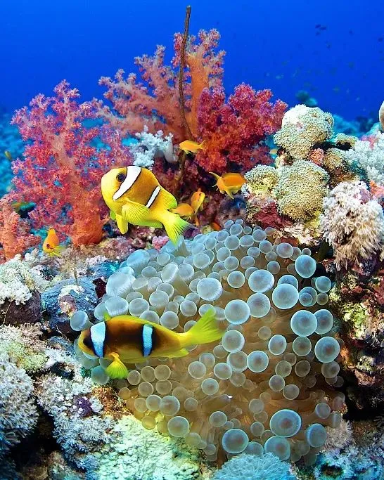 63f085dd5375ecdfdf01e0c9b91649b6-sz_131795 63f085dd5375ecdfdf01e0c9b91649b6-sz_131795