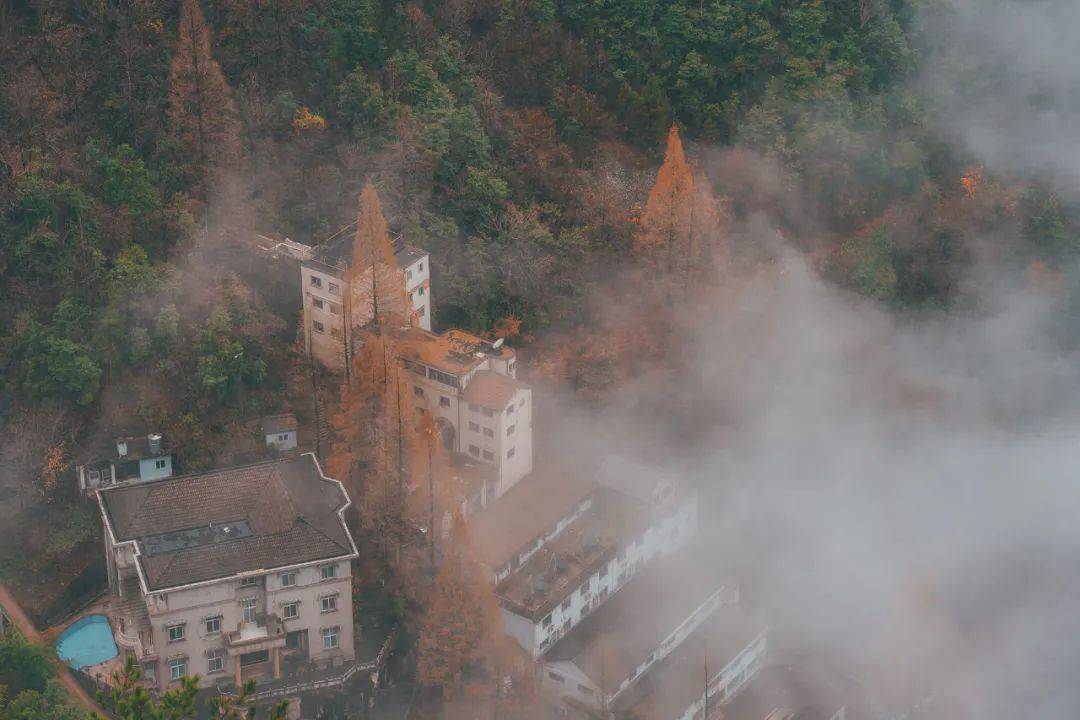 老板梭哈·99.9%都不知道~4日·498·纯玩·3早7正餐·天目山峡谷·大明山·门票·上下索道·矿洞小火车·柳溪江游船·全送~