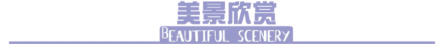 64e19ca709c7a25110e3a8448254f079-sz_7605