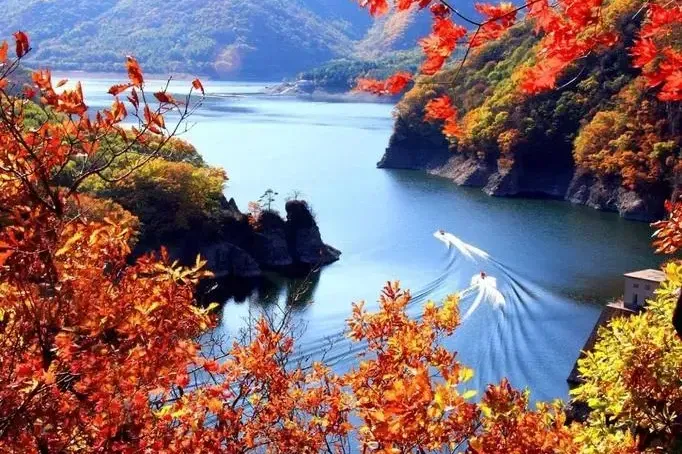 64fb31a209e4b280f55f0146651bb4a8-sz_865688