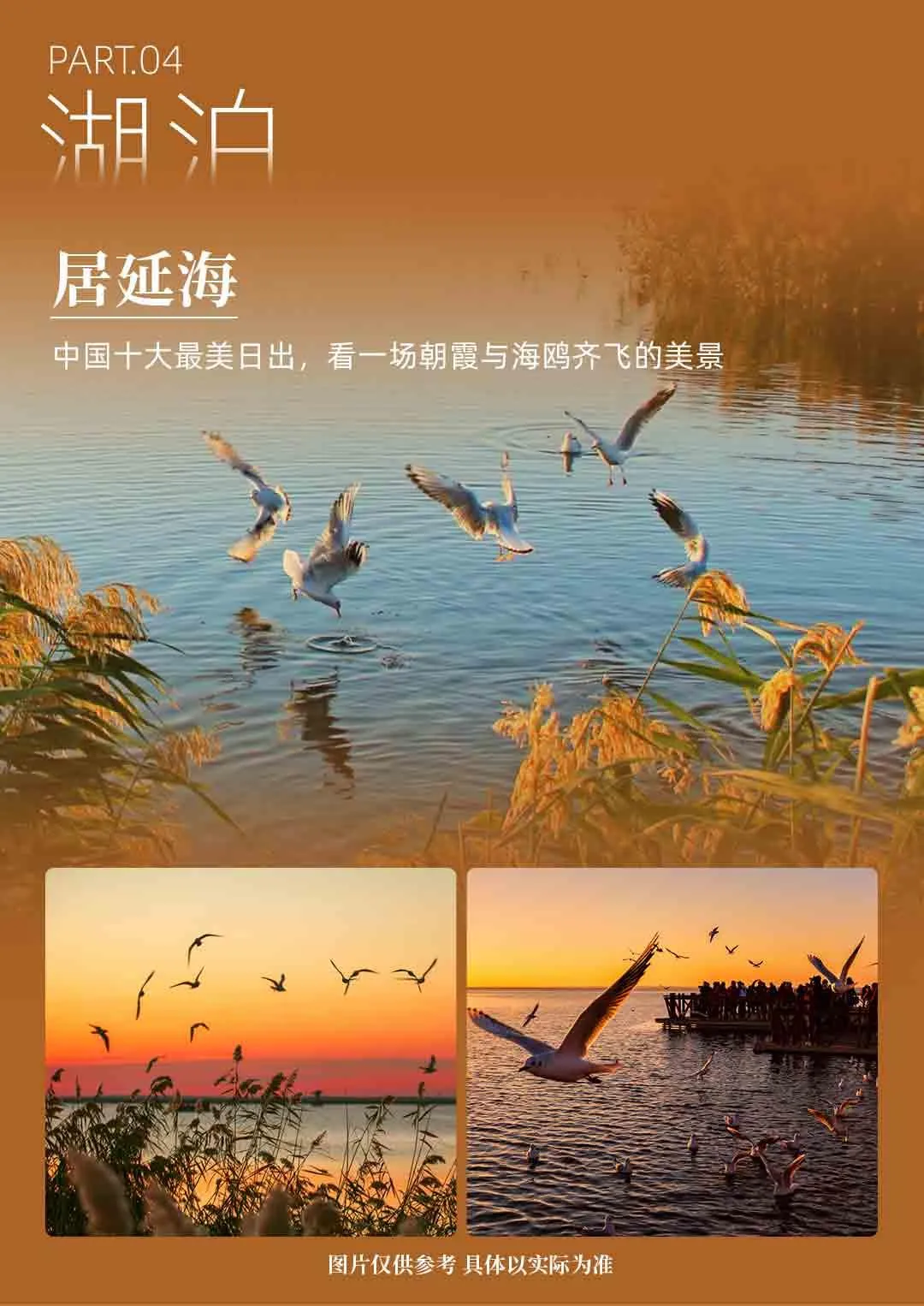 684bb6dff35b6ef13c2b51ce35a07f4c-sz_1938840