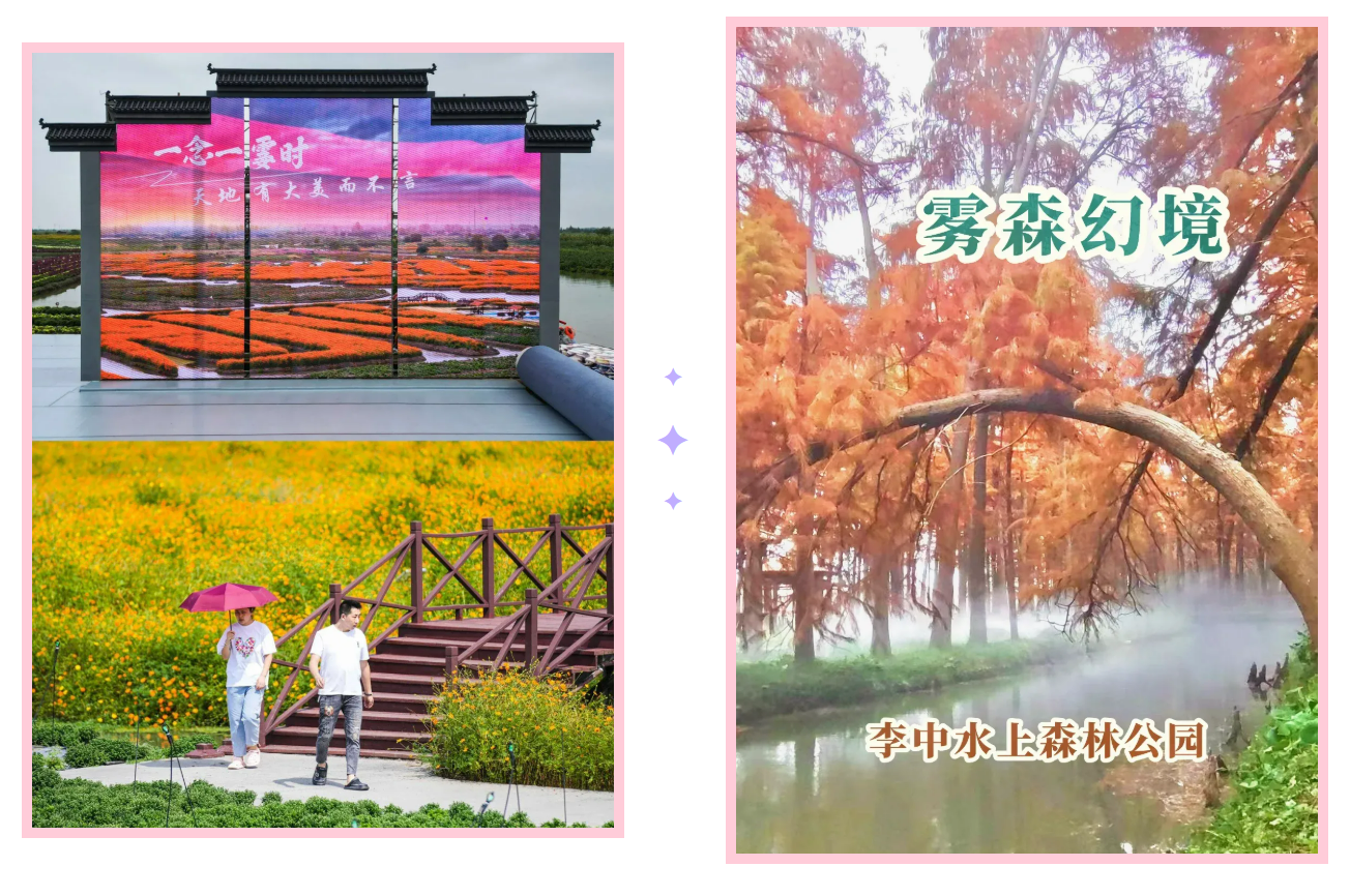 69a2c436723ebc2b1a90e98181e333d1