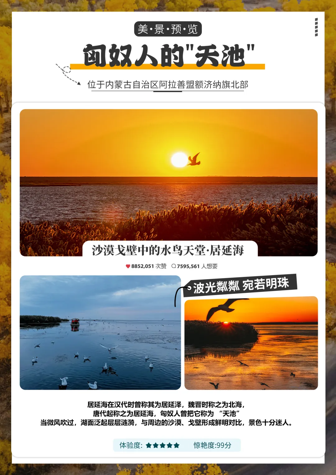 6a088f24b2fed7fb6740d73bbd20daa9-sz_1618178
