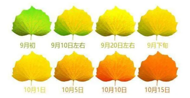 6abdb3806b6d77cbdc60ac5c5a234528-sz_415094