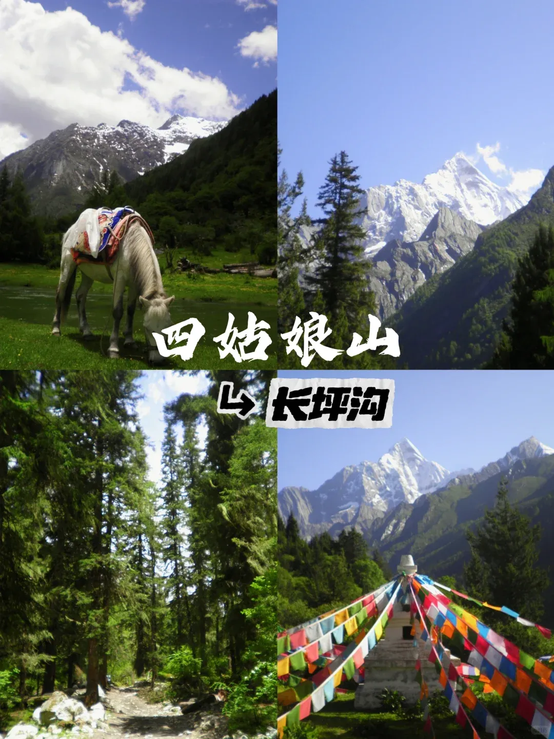6afce2c7e2ffea517c81c588529e4cdd-sz_2884469