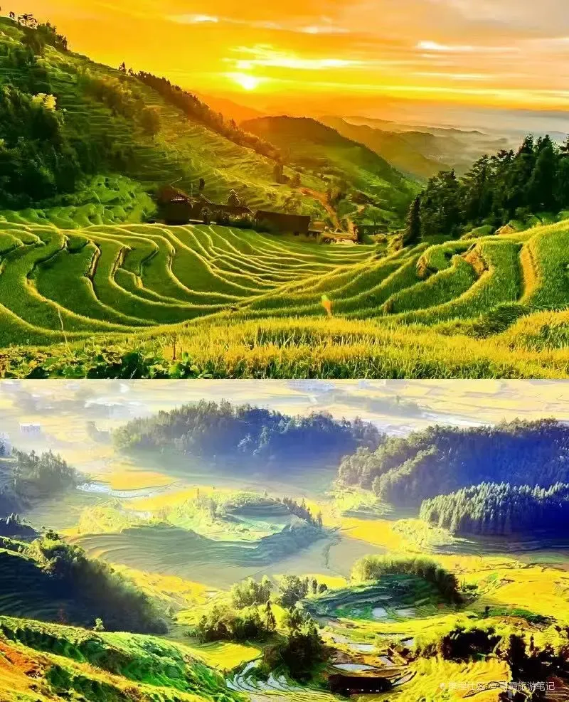 6c0988c25d66a88fd69175485fa86442-sz_2037266