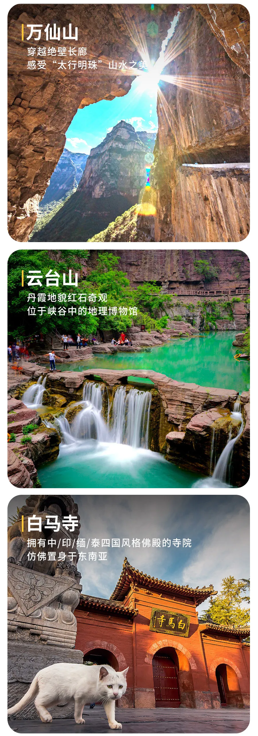 6c17be5dd67d129f3857eb8ec78bd21d-sz_903209