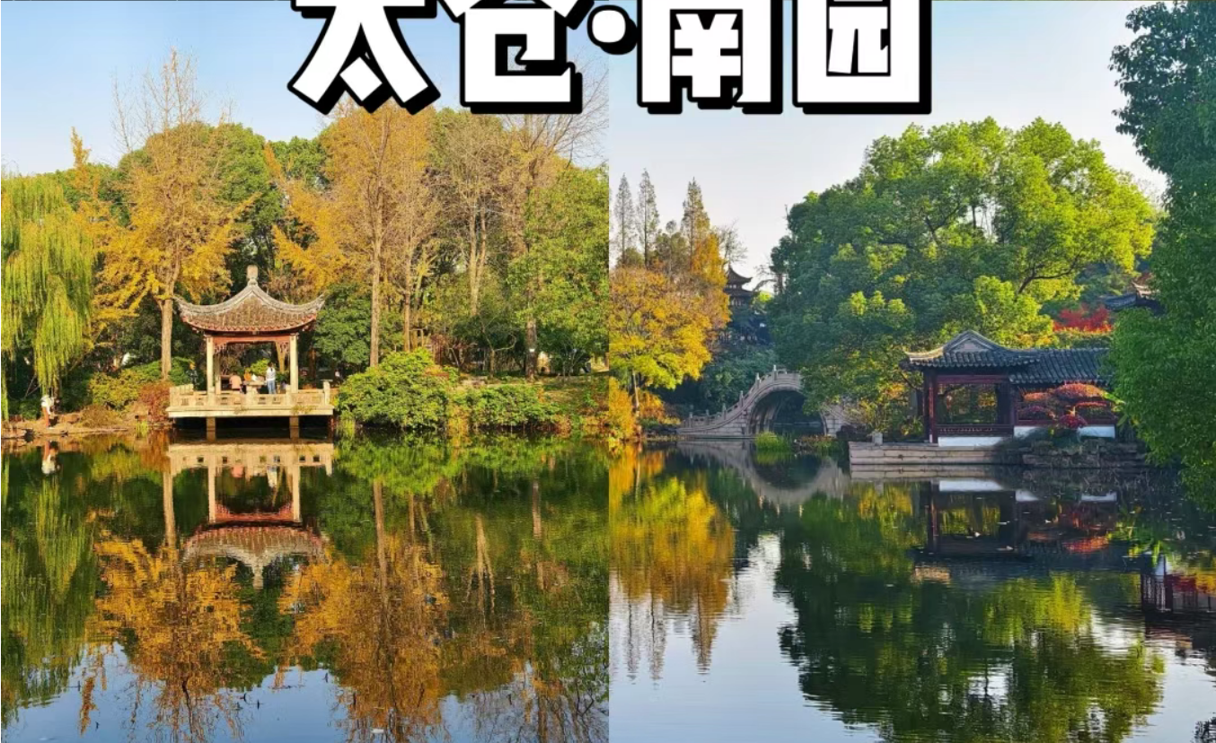 6ce2c6346ab49c3654c7e7e9e83c54e5