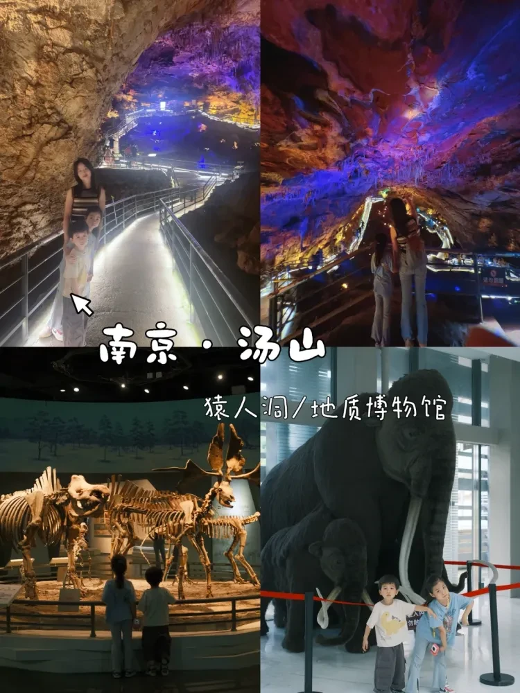 7043368112cb23130be54461254a3b2c-sz_3285337