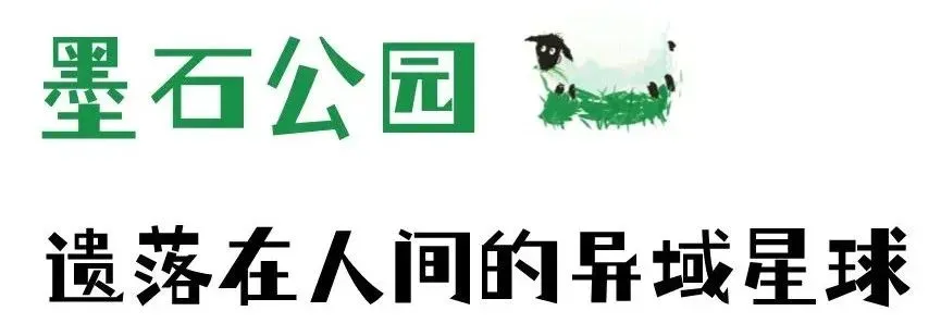 72314c7c12084610854dc36cef376840-sz_28893