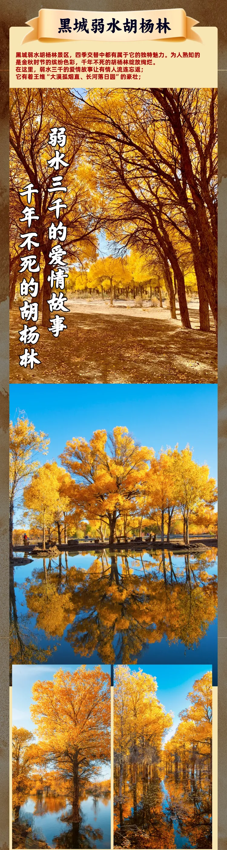 745d346eaebd893b9de823e501829387-sz_2627479
