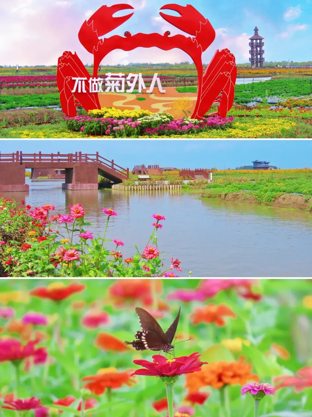 74a639989dace683985ebeb223406c51-sz_3157389