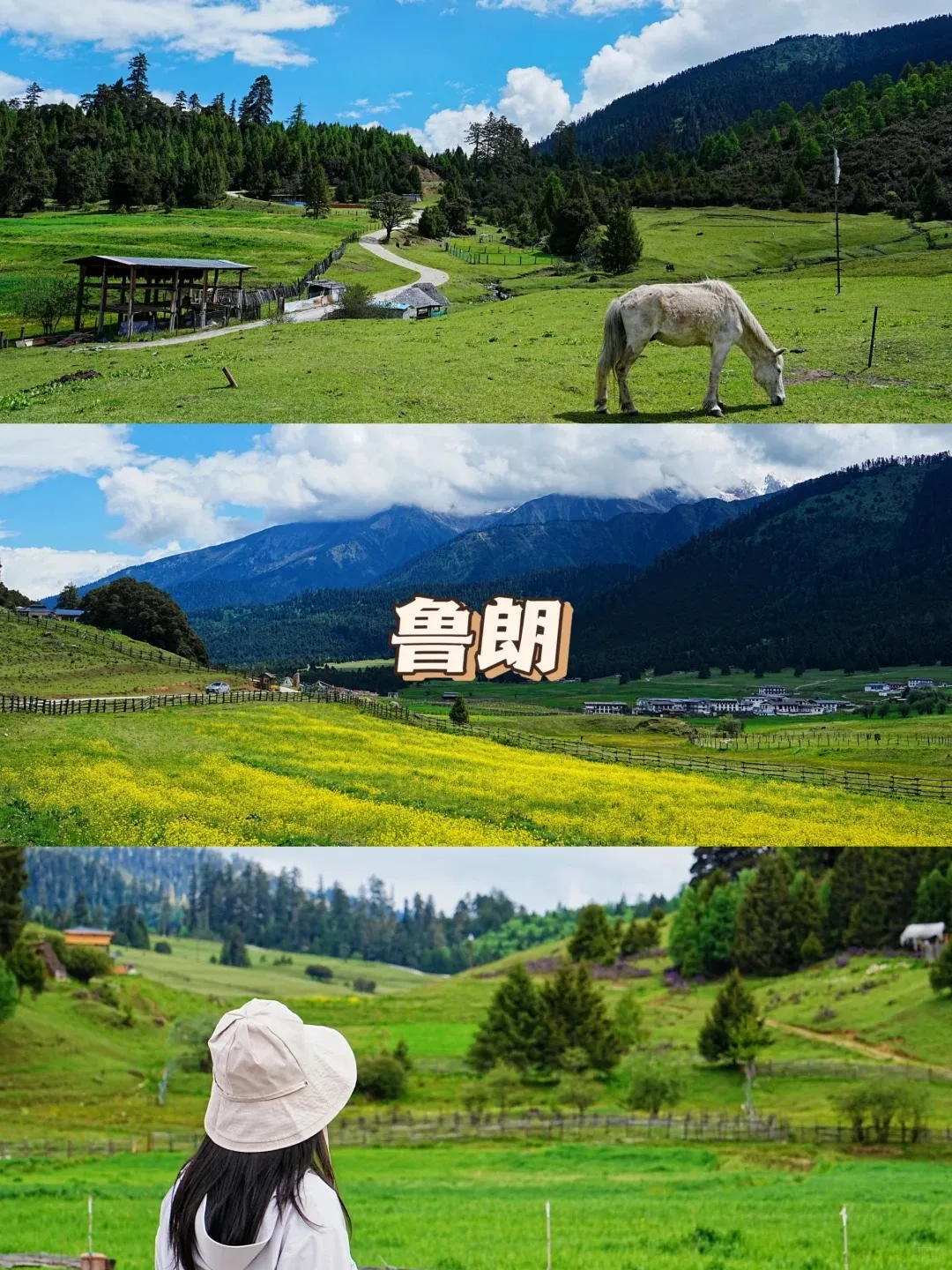 西藏，错过等一年！10月16日/20日•西藏全景游双卧12日游＜上海自组班●全程高餐标享受藏域美食●5晚4钻含氧酒店●升级2晚网评5钻＞