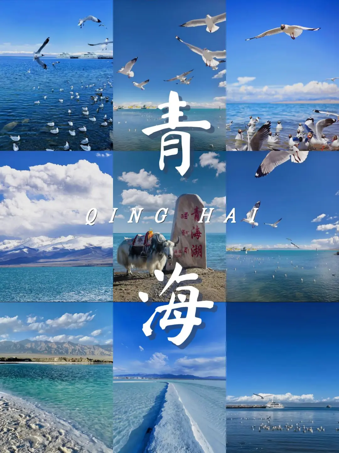 【心动青海】 1899元   茶卡盐湖|青海湖|塔尔寺|阿什贡  ✈双飞6日游✈