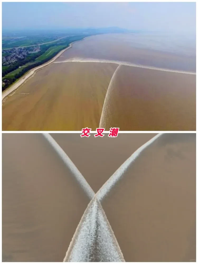 781727e963b055e663966d855893f57e-sz_1181701