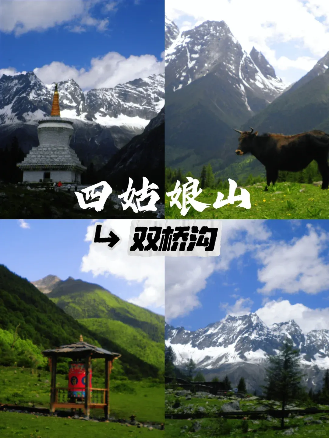 7df76b6959f98341387f1940417ed982-sz_2440516