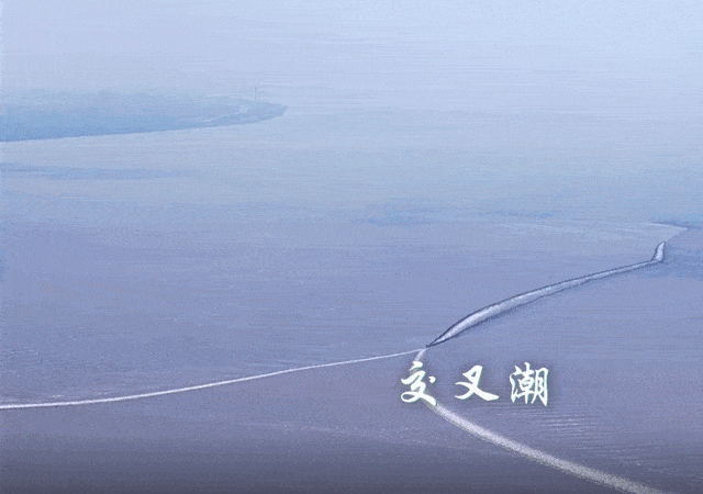 【399元 | 天下第一潮❤四星纯玩】海盐观潮◆绍兴柯岩◆鲁迅故里◆南浔古镇◆2早3正◆升级《螃蟹宴》