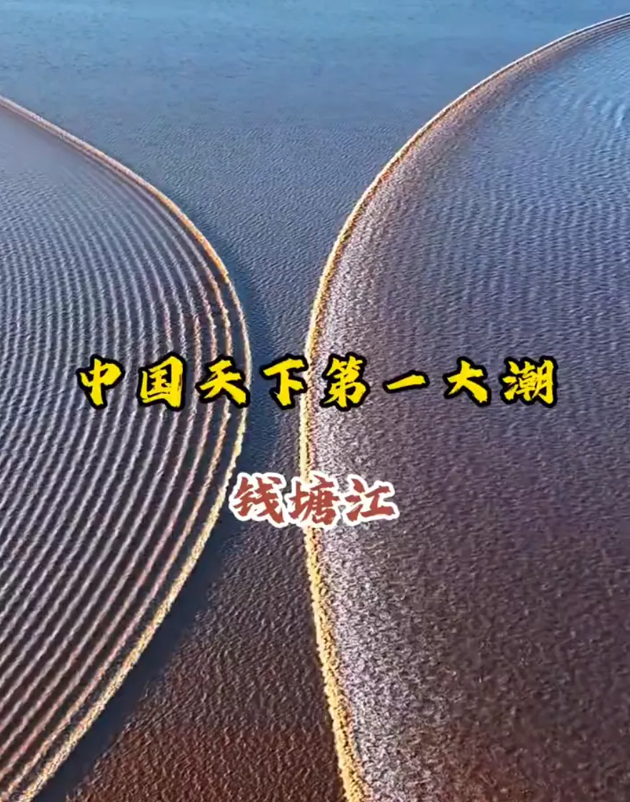 【288元 | 钱塘江观潮❤1潮2看】入住和平饭店◆天下第一潮~海盐观潮公园◆南关厢◆南北湖◆含1早2正◆升级《虾蟹煲》