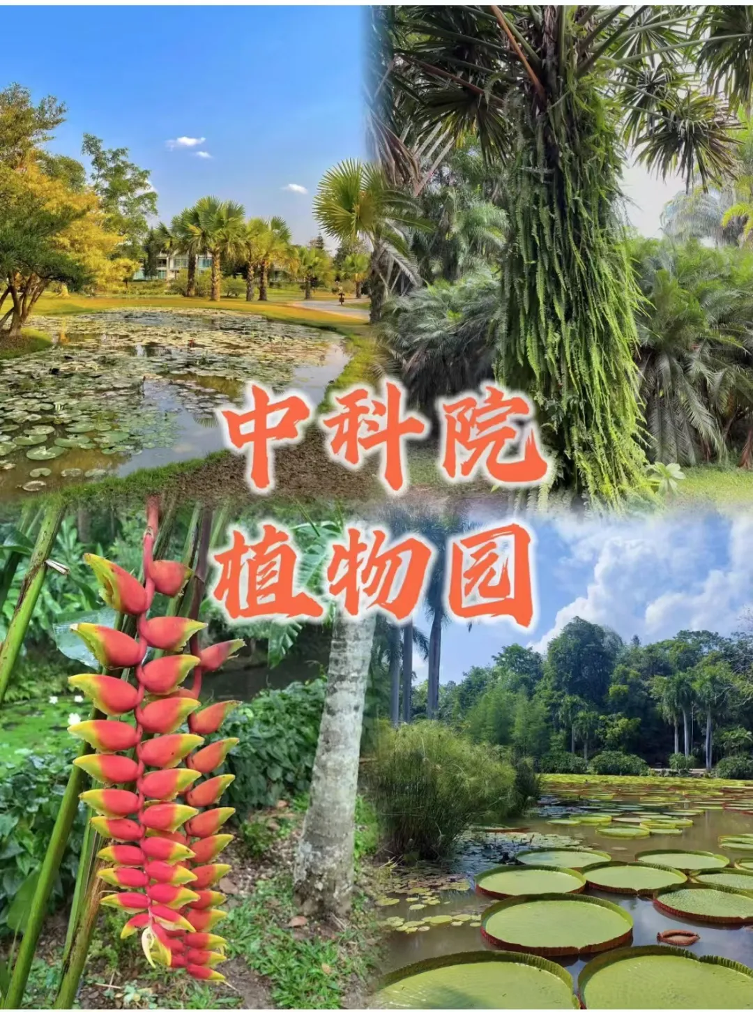 81bb386a36ffca73f01b38cd94886ff9-sz_633583-2