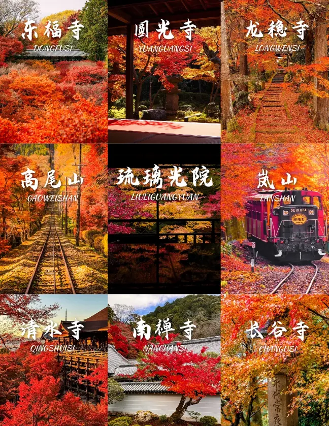 86d983ec3e528974330592f6cb7ece57-sz_1488875