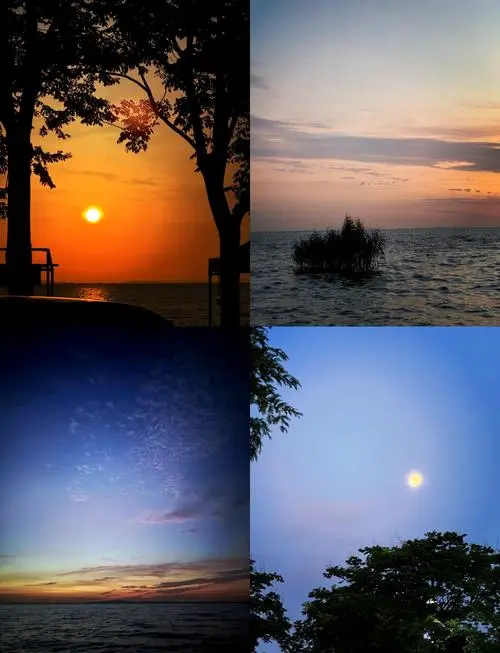 87dbd56e9df2854a6a1e5702b439e230-sz_43141