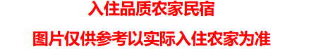89929ab11c1f441afe39c901ae70dded