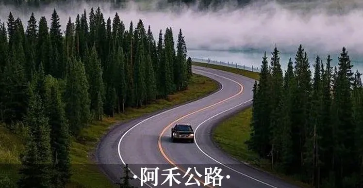 8a68d9665293a128c79accf421be58d3-sz_247928-2