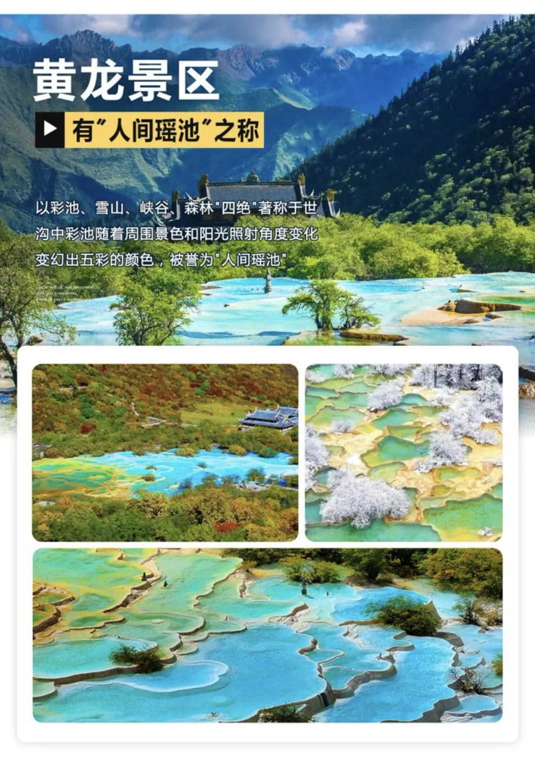 9-10月直飞成都❤轻奢四川全景❤邀您赏最美秋景·升级2+1保姆车+4钻酒店·九寨沟·毕棚沟·黄龙景区·峨眉山·乐山大佛·都江堰·双飞8日游