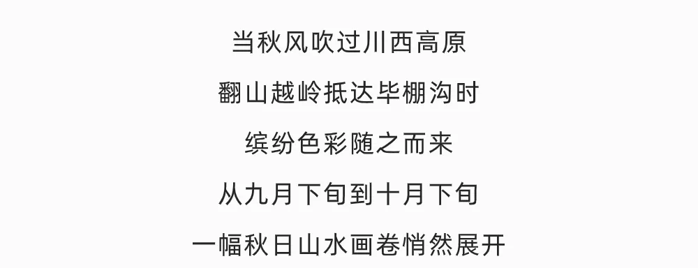 905ea51189a6a2c970725cfa0bf817ed-sz_8221418