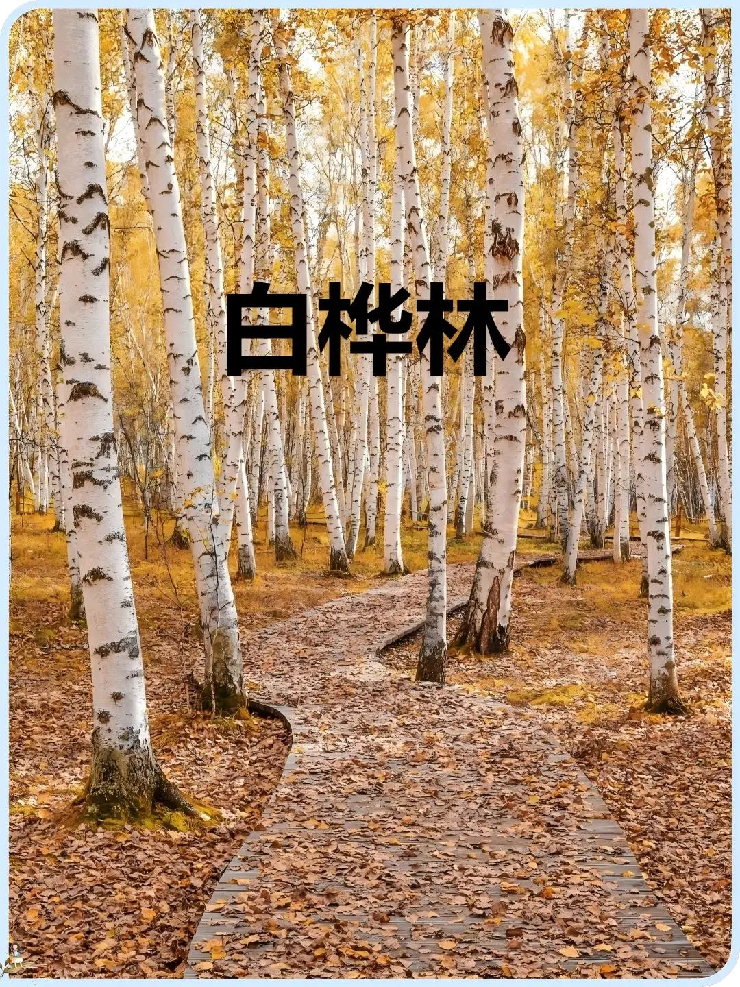 908af941629759f165a5923e3e12c929-sz_515972