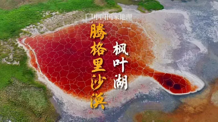 <金秋十月看胡杨林双卧10天>❤️醉美额济纳❤️腾格里沙漠穿越五湖❤️<银进兰出不走回头路>