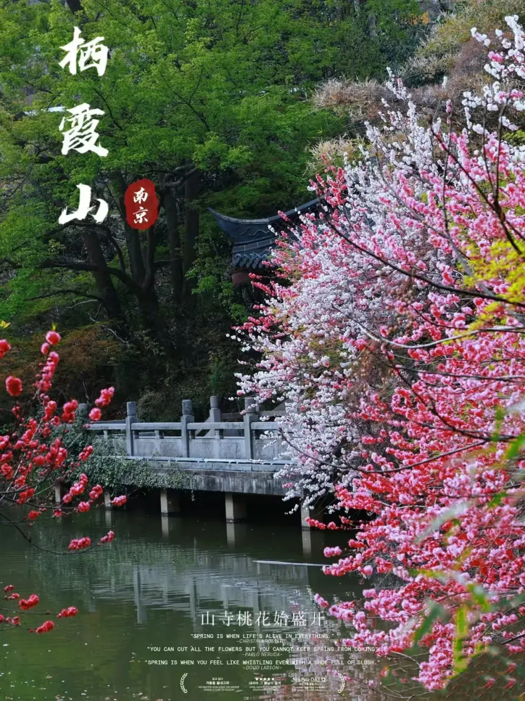 93d5474ab1e1580f10d4f8fb529466e2-sz_4163710