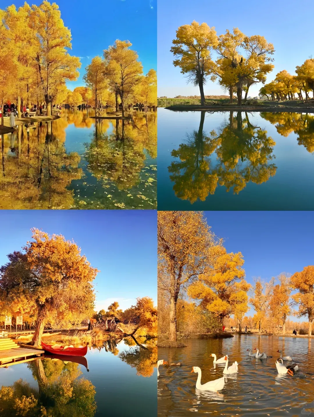 95c39fc8a3c3a6f72200c23743771e3c-sz_3242234