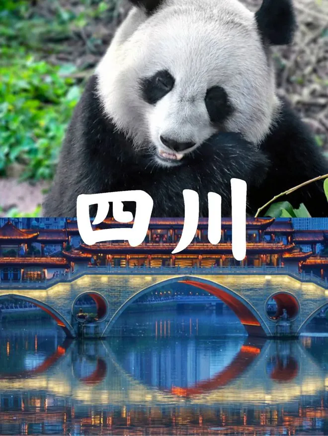 9a38069c0f9c81c734eaea02847aea95-sz_108940