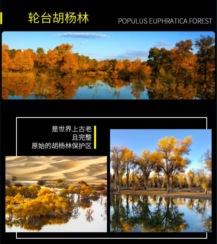 9c601815655b16ec78bbae4c5ec0e772-sz_804937