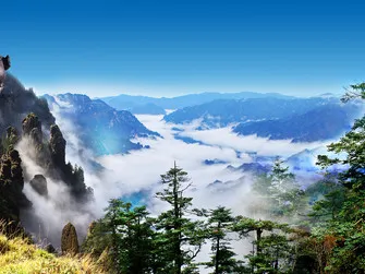 9c9e3b56152ede6ce608cc62973b13be-sz_38524 9c9e3b56152ede6ce608cc62973b13be-sz_38524
