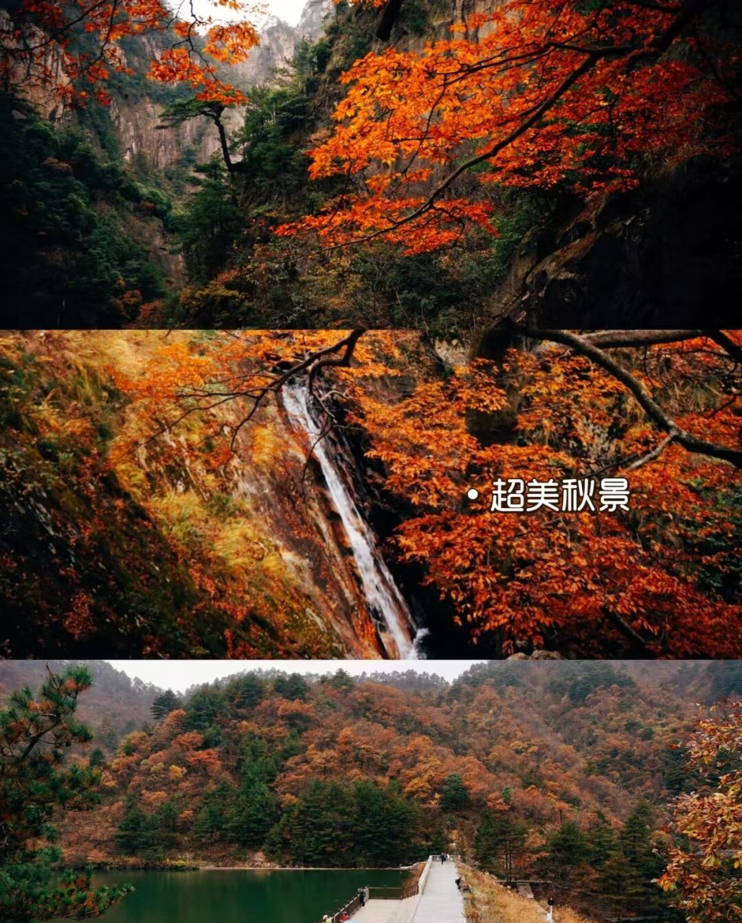 9e3972d5c6f7a91d714c742c5b75fbb1-sz_1658665
