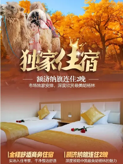 a08f70219da1a94c124b4f7ae360091a-sz_455637