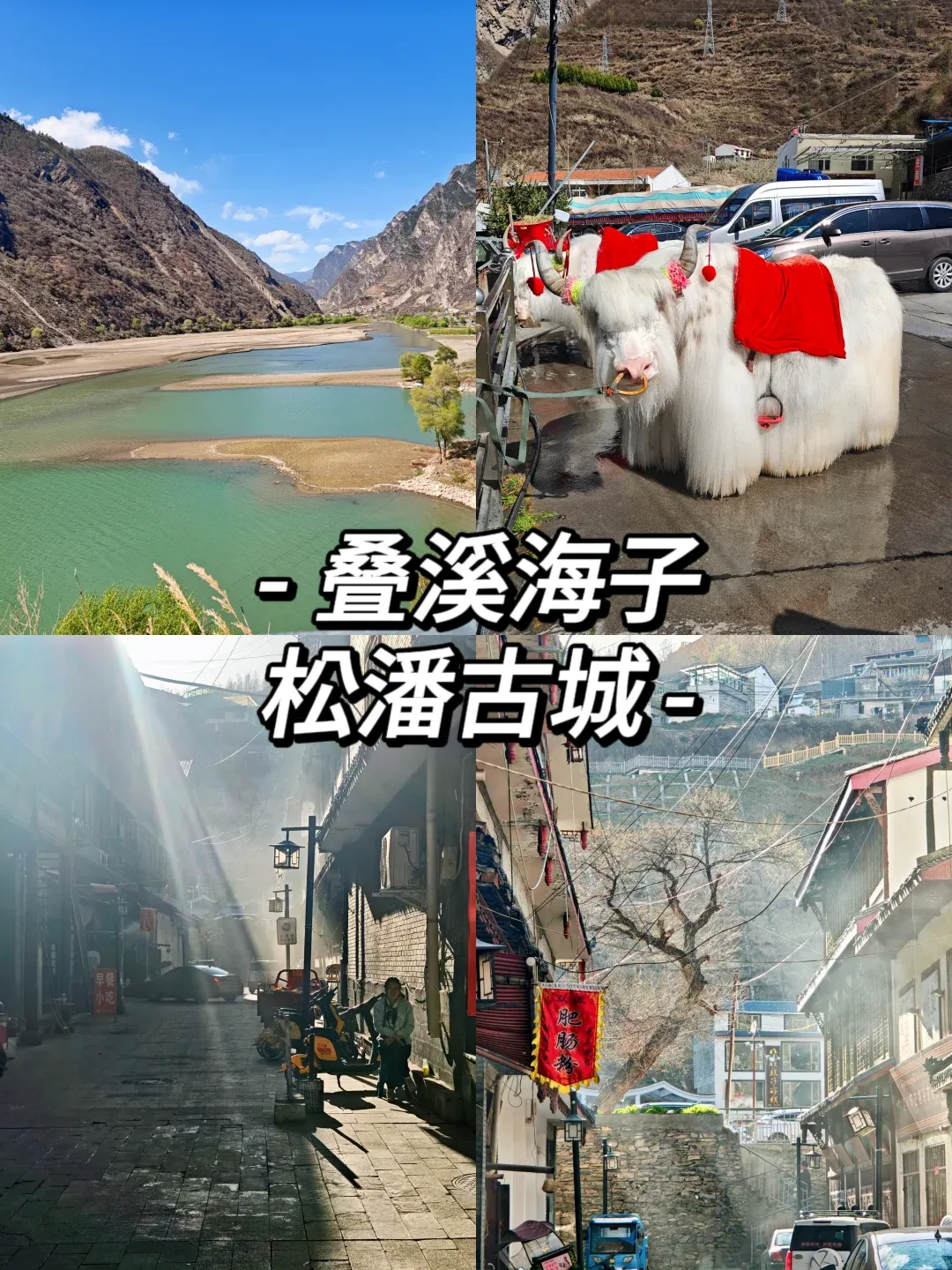 a5c2b41652c475930d7e848cabb84a0e-sz_3355912