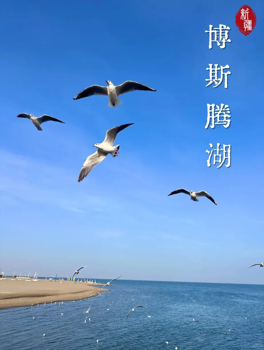 【奇遇南疆】双卧一飞12日三飞8日6299起‼️巴楚红海胡杨林/白沙湖/喀什老城/盘龙古道；2+1陆地头等舱豪华座驾；乌市-喀什飞机；贴心赠送喀什古城旅拍