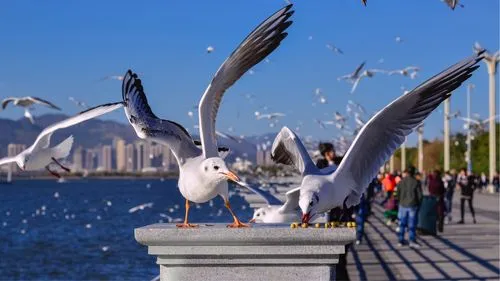 ab5fd13e8f7459129b3c2a08560861e2-sz_27448