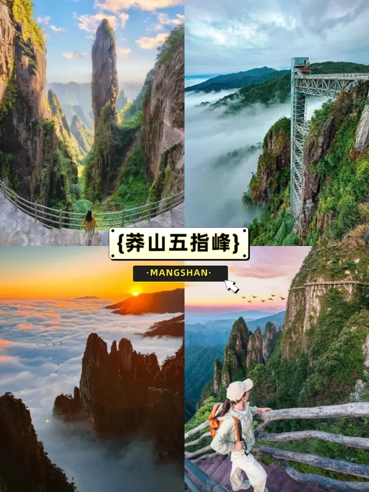 aedd859fe5511ec1d5b112c606a776e7-sz_3263730 aedd859fe5511ec1d5b112c606a776e7-sz_3263730