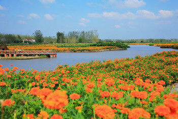 af98fe324ef3bef88fcee008172874cf-sz_48008