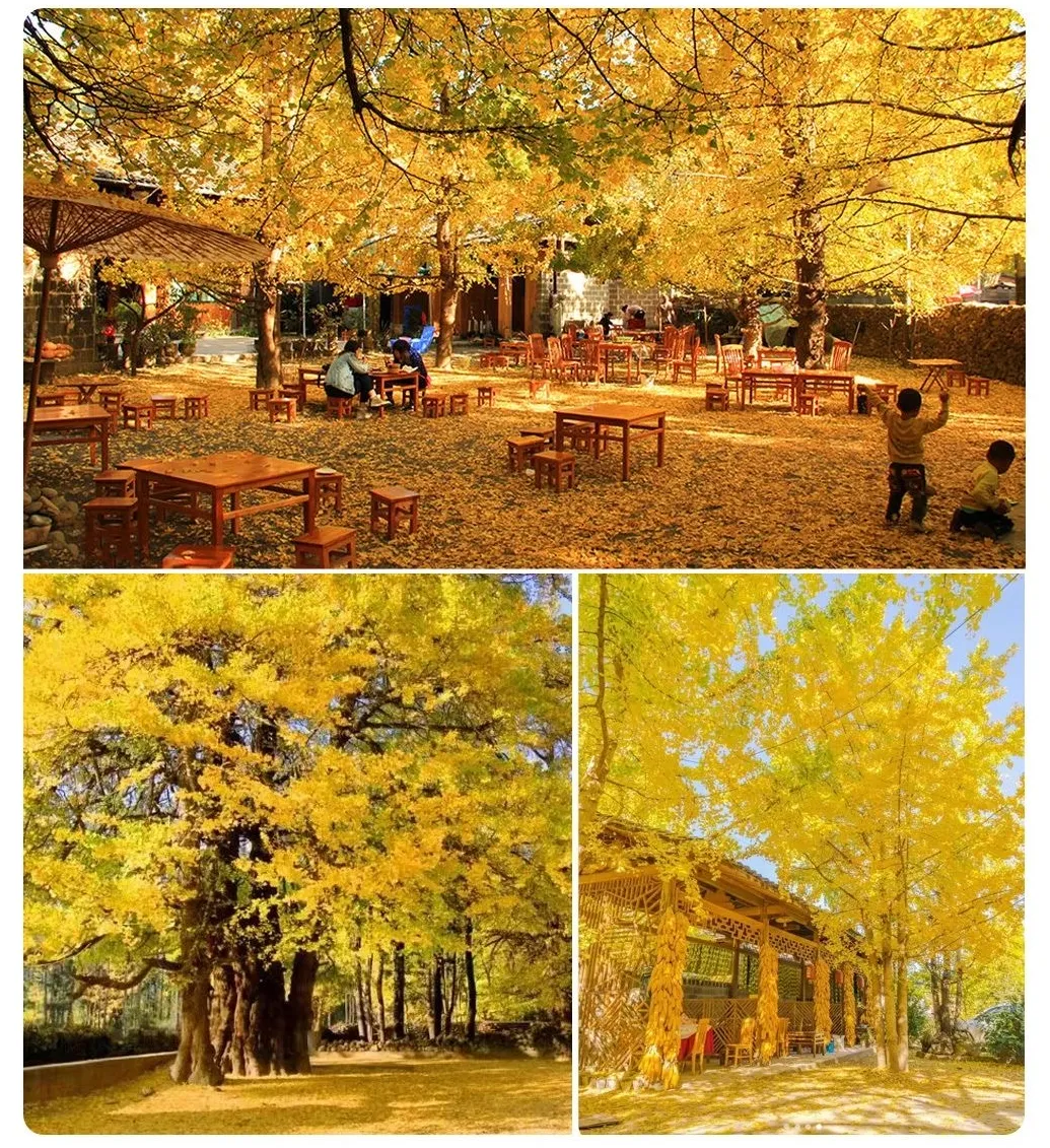 b003194053368e5921fa1e12433647ee-sz_1914738-1 b003194053368e5921fa1e12433647ee-sz_1914738-1