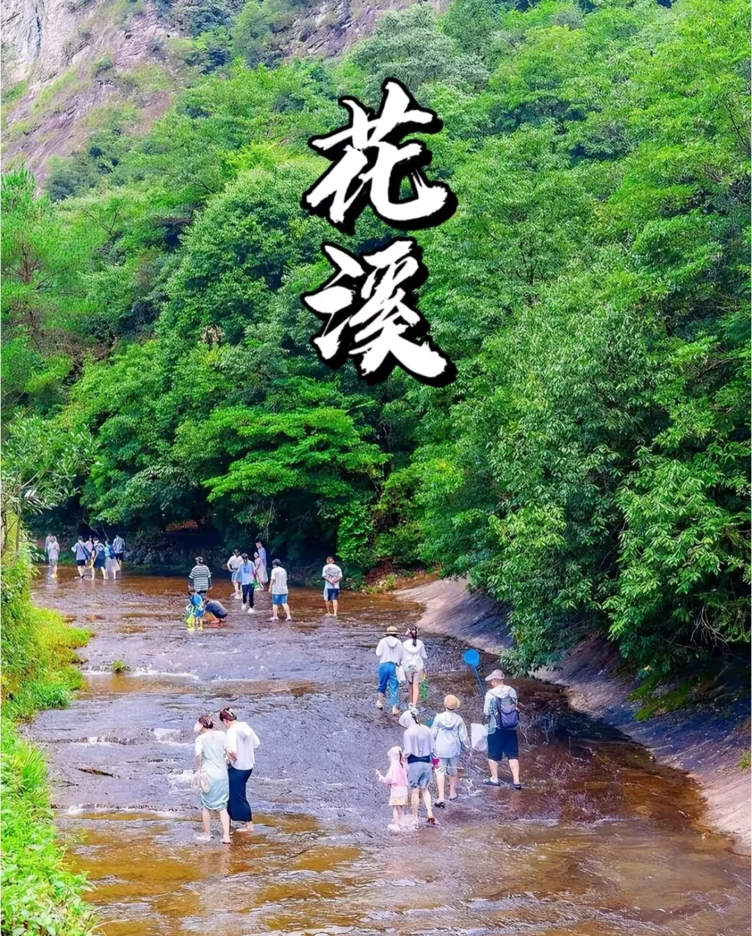 b10b237e2d14a84071ac57d84e60c1ce-sz_903625-2
