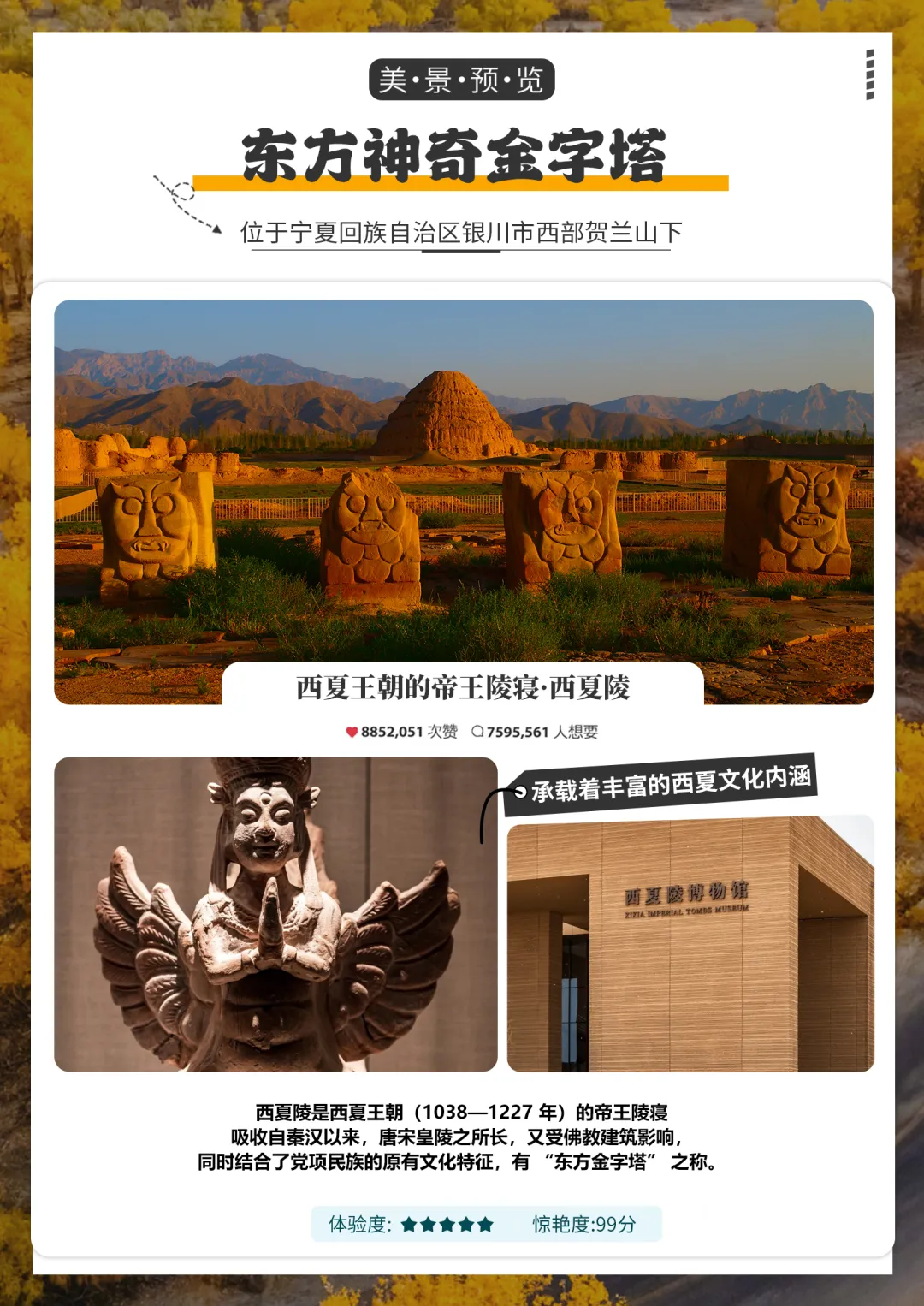 100%纯玩<4钻酒店+额济纳旗电梯房>【心动胡杨】赏胡杨盛景，五湖穿越，品宁夏美食，住品质酒店，额旗段升级陆地头等舱2+1车型；银川+额济纳旗双卧11日游
